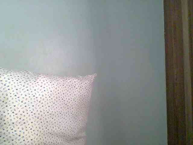 Chocolate-saucy webcam