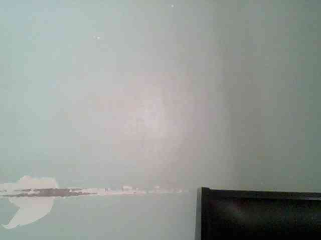 Chocolate-saucy webcam