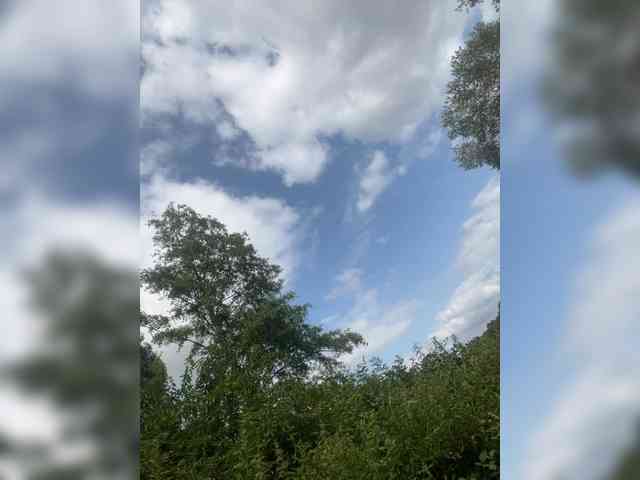 Xxrooo