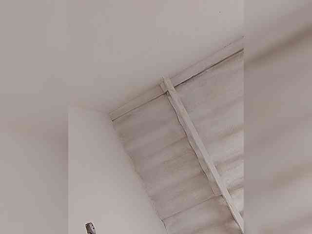 TULATINA26 webcam