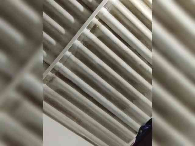 TULATINA26 webcam