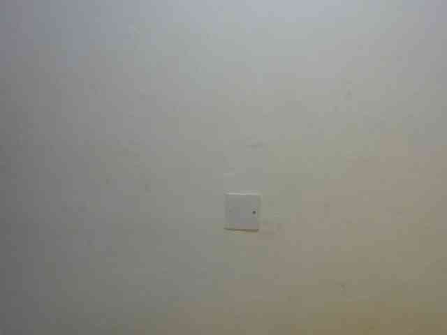 darkmajesty webcam
