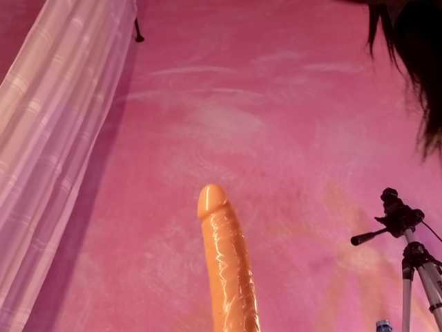 Sofi-Thomas live cam on BongaCams