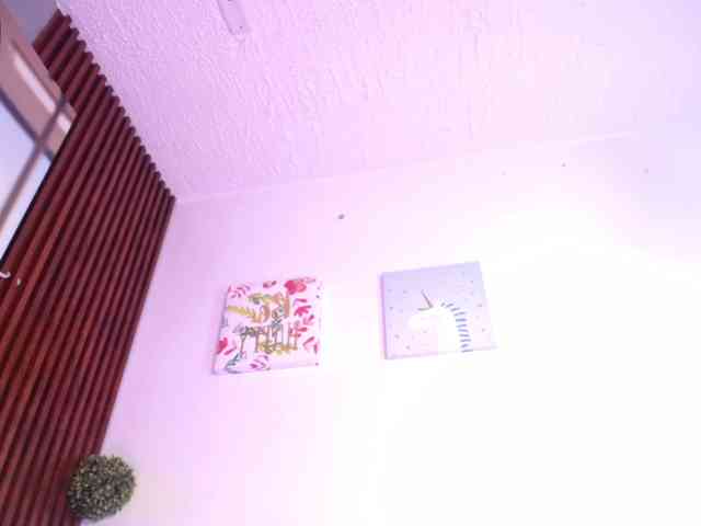 Sofi-Thomas webcam