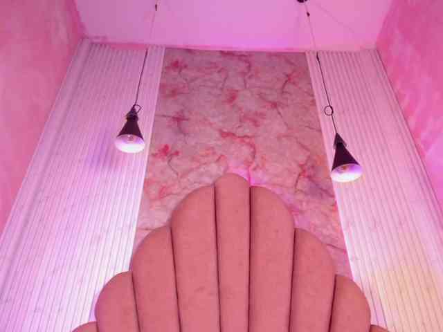 Sofi-Thomas webcam