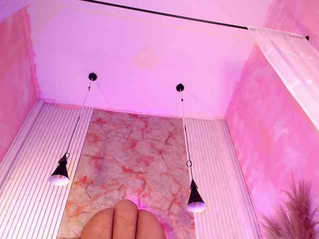 Sofi-Thomas webcam