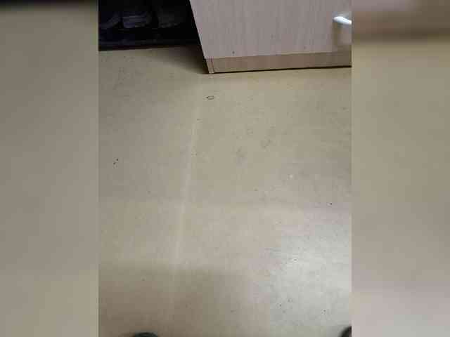 Morpex1987 Live Webcam on BongaCams