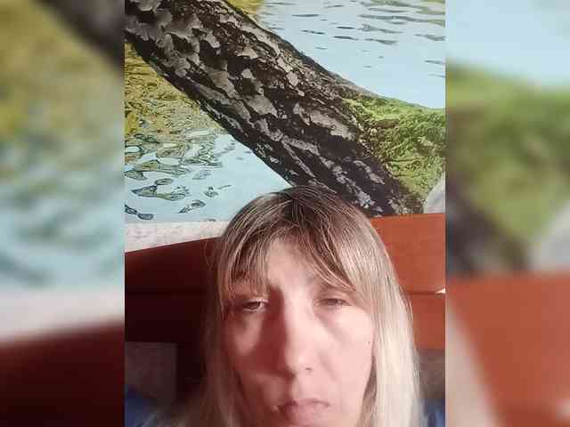 Nerpenok webcam