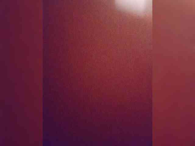 Nerpenok webcam