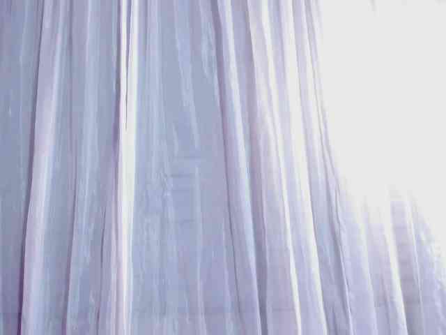 PAU-TAFUR webcam