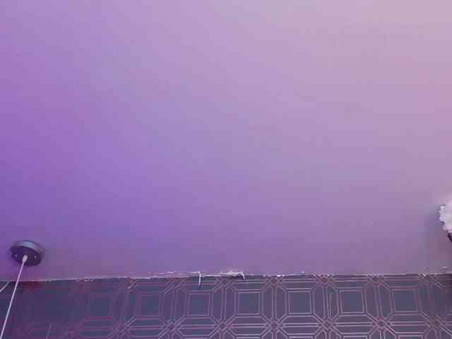 PAU-TAFUR webcam