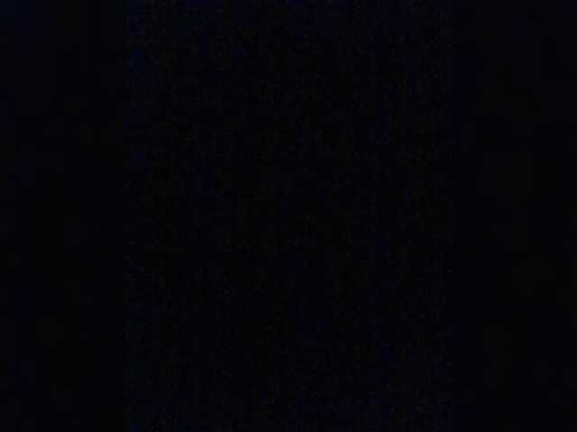 Lauflor