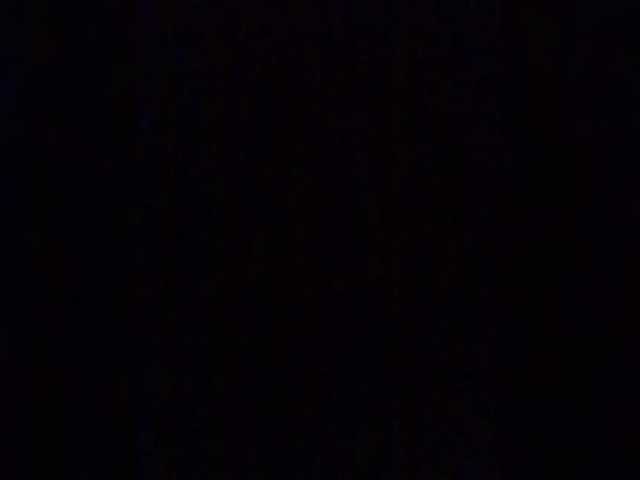 Lauflor