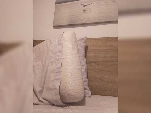 Lauflor live webcam show
