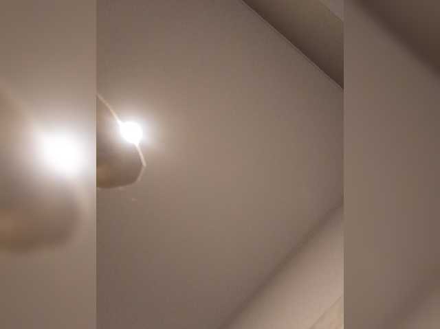Lauflor live cam on BongaCams