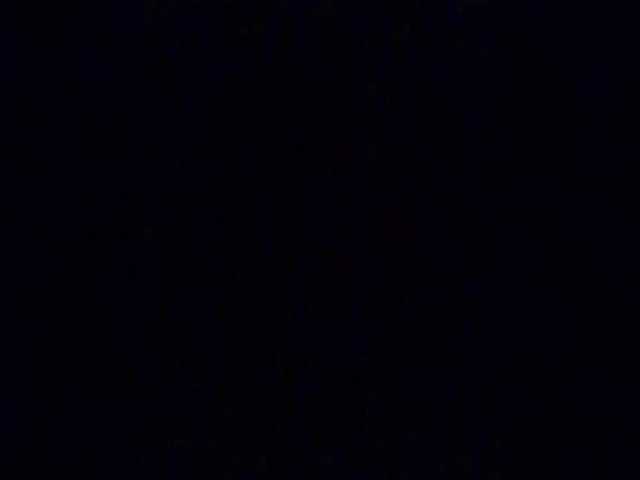 Lauflor