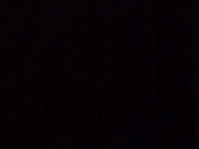Lauflor