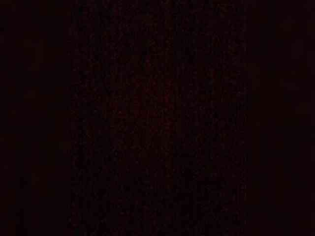 Lauflor webcam