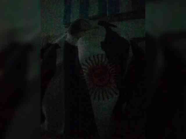 Lauflor webcam
