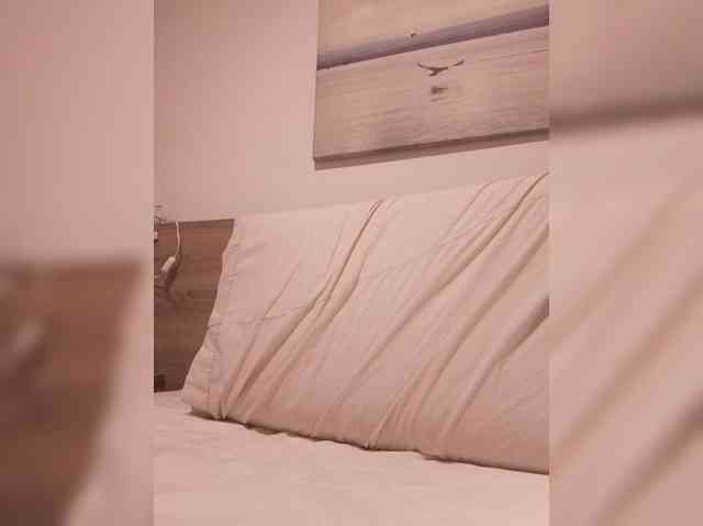 Lauflor webcam