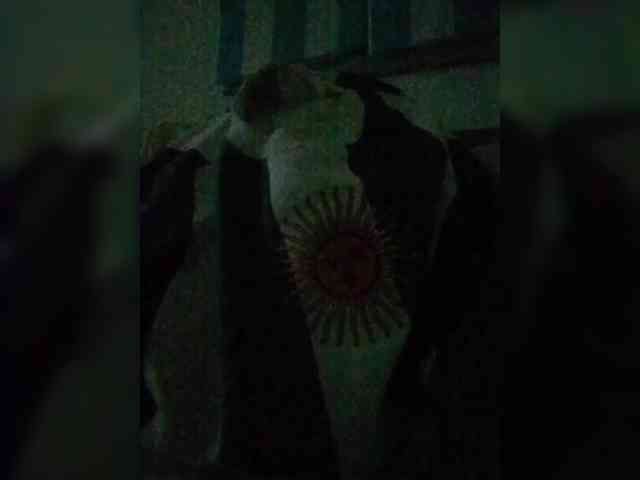 Lauflor webcam