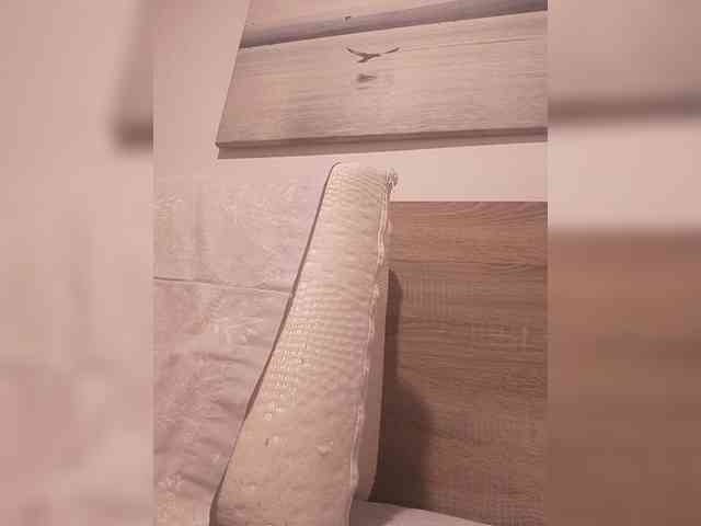 Lauflor webcam