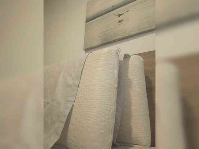 Lauflor webcam
