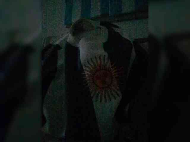 Lauflor webcam
