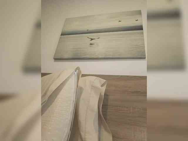 Lauflor webcam