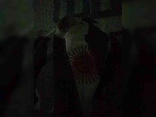 Lauflor webcam