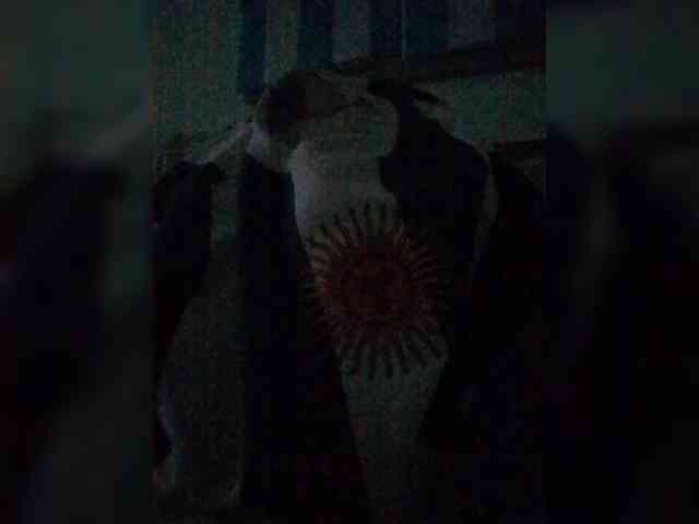 Lauflor webcam