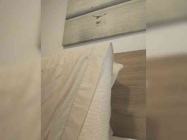 Lauflor webcam