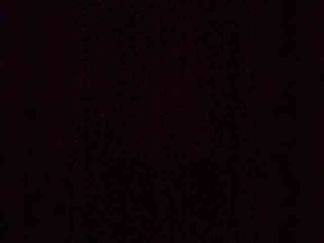 Lauflor