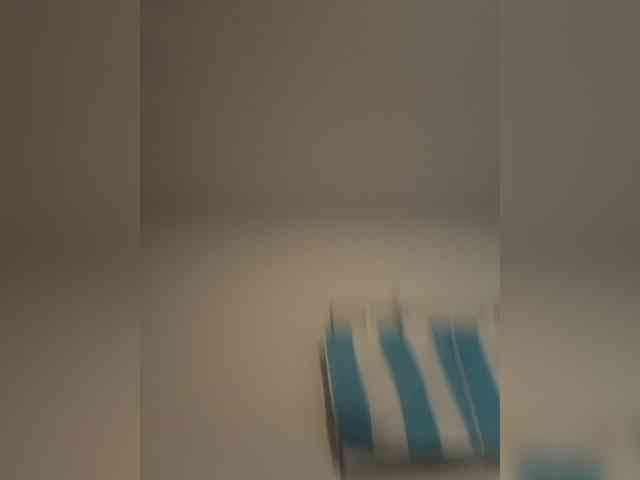 Lauflor webcam