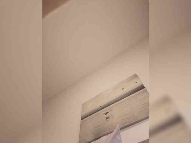 Lauflor webcam