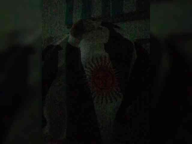Lauflor webcam