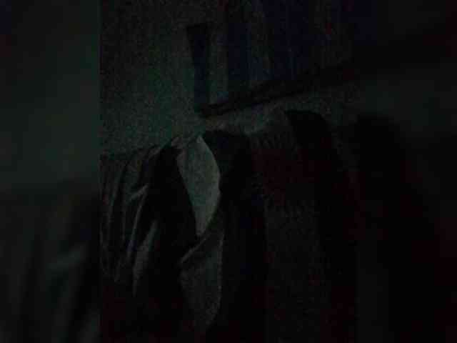 Modelo: Lauflor