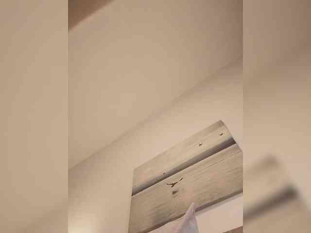 Lauflor webcam