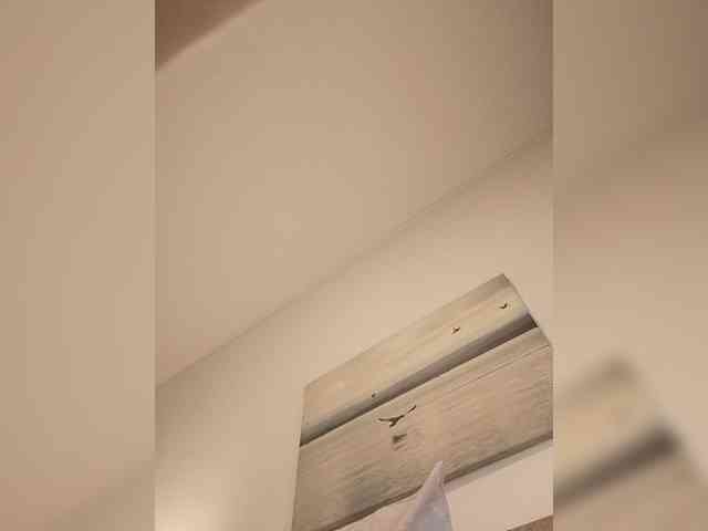 Lauflor webcam