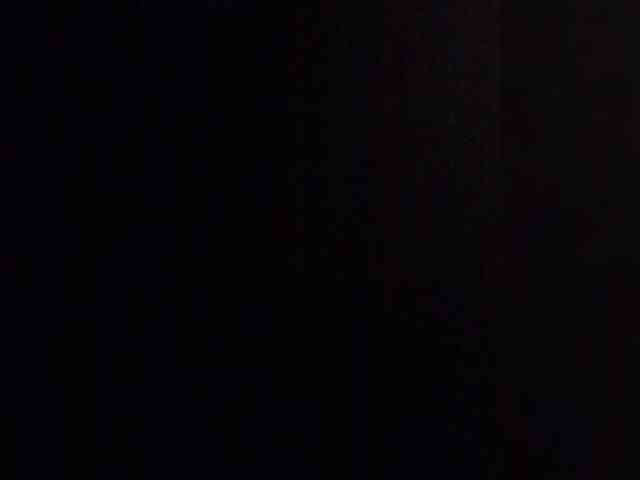 Lauflor
