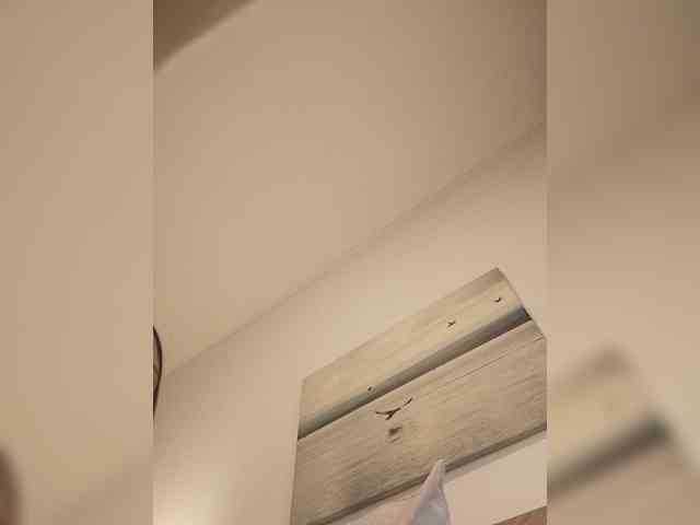 Lauflor webcam