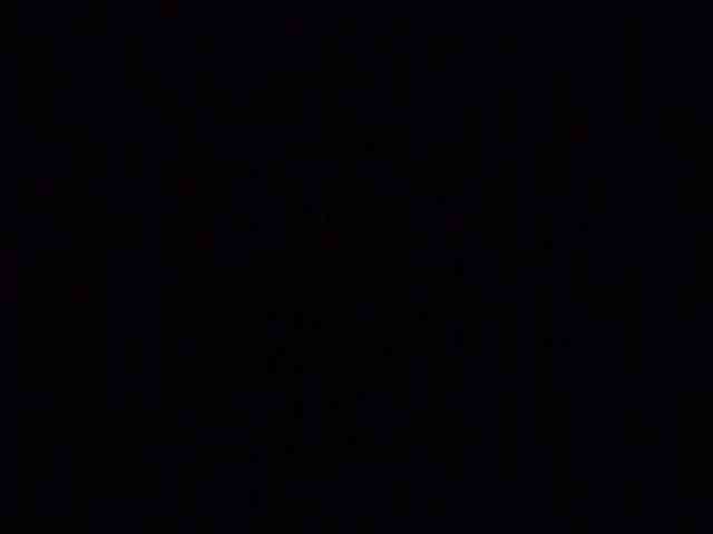 Lauflor