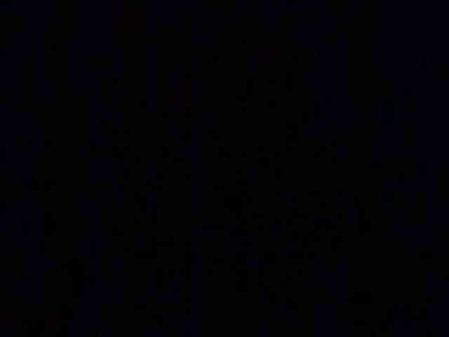 Lauflor