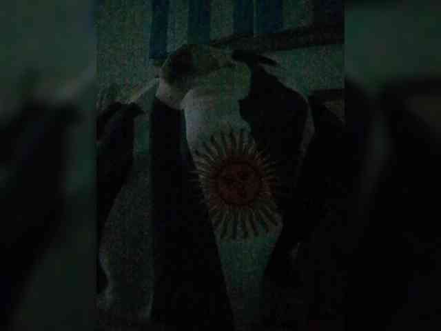 Modelo: Lauflor