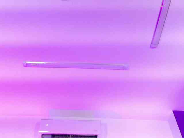 scarlet--ray webcam