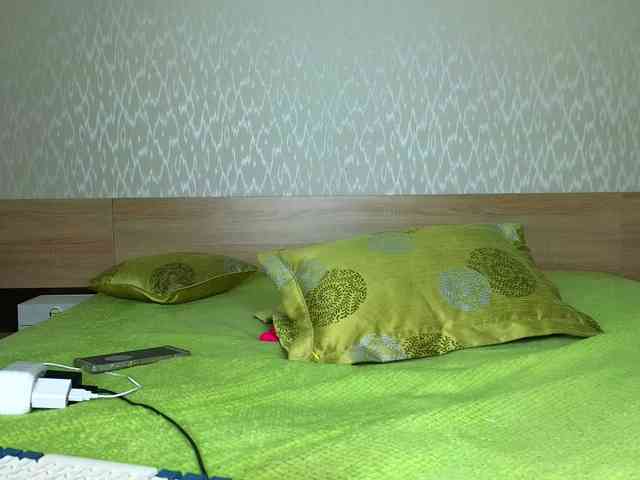 Adelina-Cowell webcam
