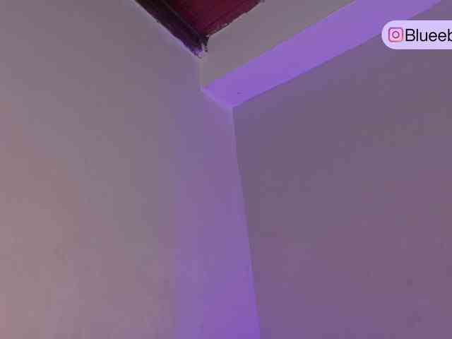 BeckaBlue webcam
