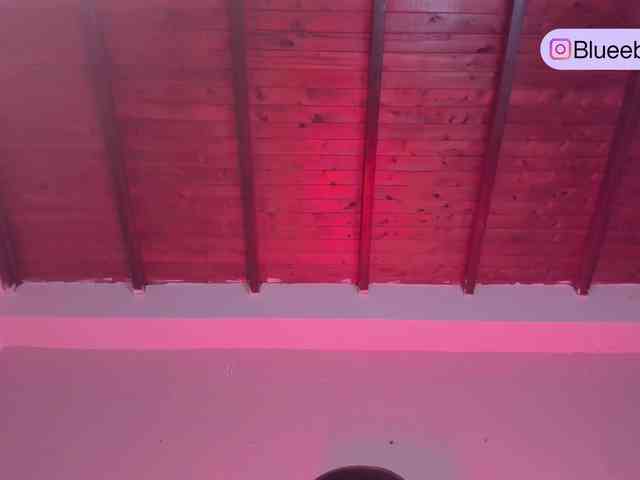 BeckaBlue Live Webcam on BongaCams