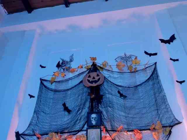 BeckaBlue BeckaBlue