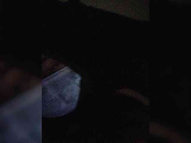 AnalPrincessPippalee webcam